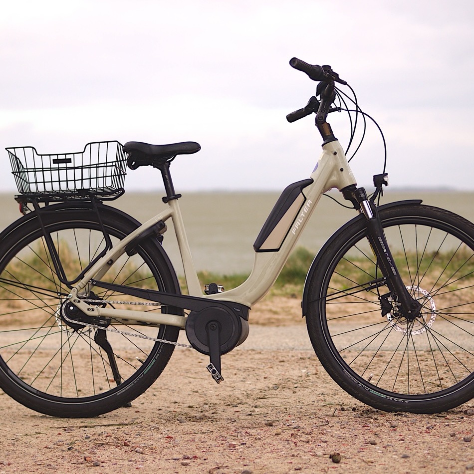 FALTER E 9.0 Ebike