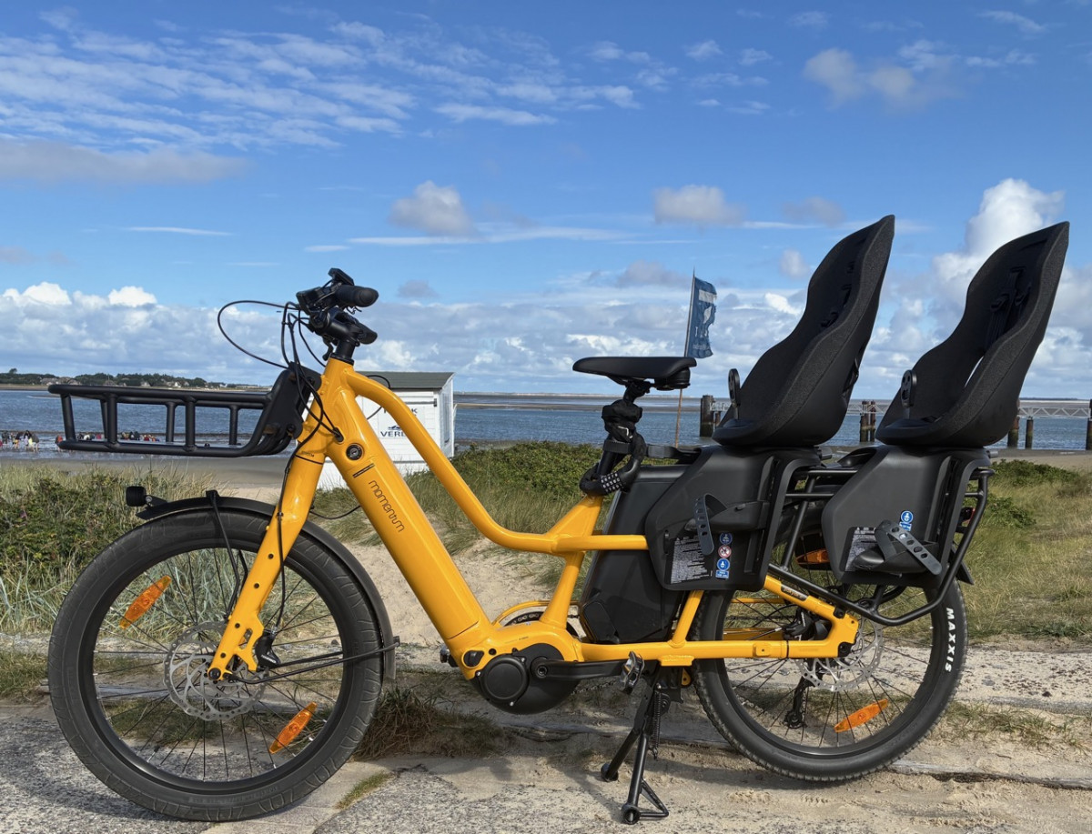 Momentum PakYak E+ Lastenrad